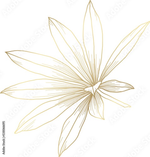 Luxury gold hand drawn floral element in line art style. Flowers and leaves 