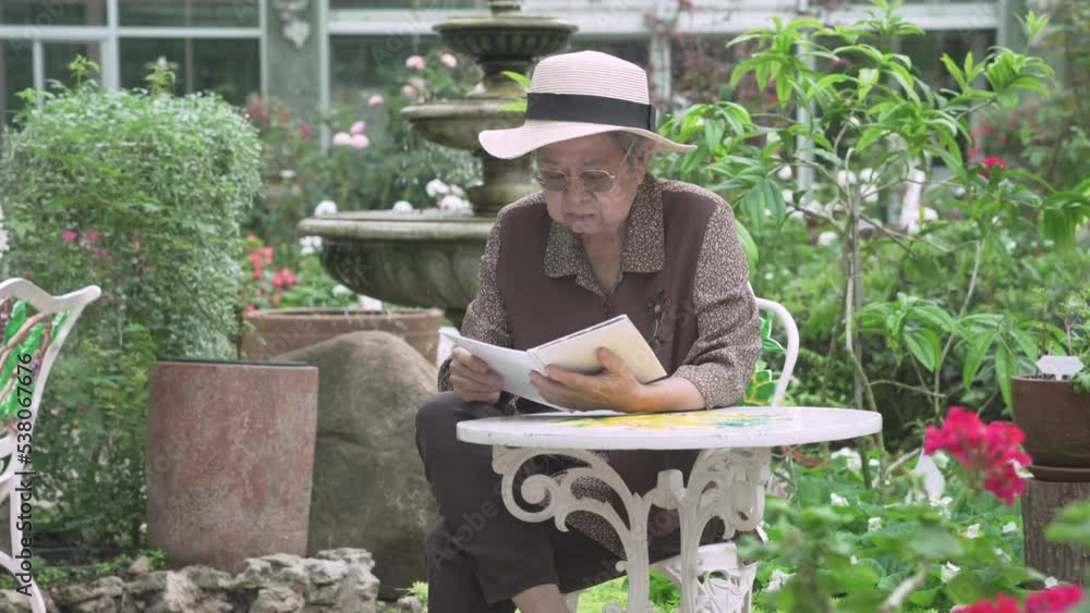 old elderly elder senior woman reading book in garden park old elderly elder senior woman reading book in garden park