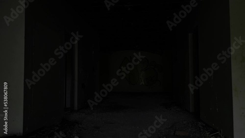 Wallpaper Mural 廃墟　エントランス Torontodigital.ca