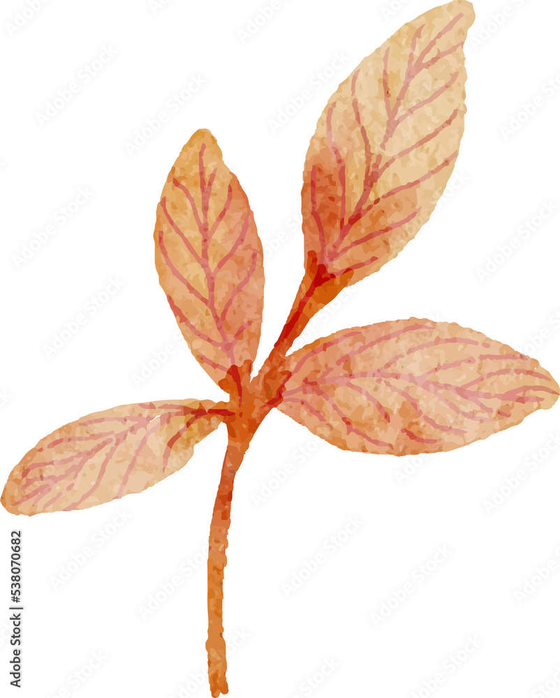Watercolor green leaf Watercolor green leaf