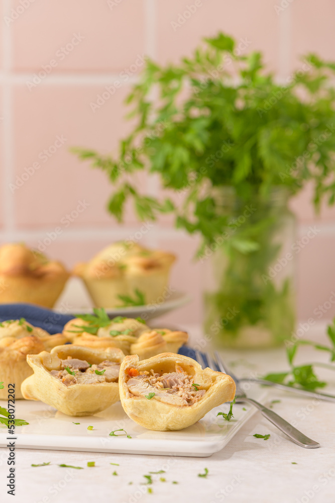 Chicken pies Chicken pies