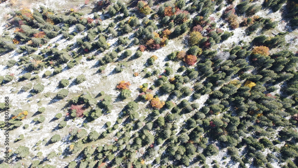 Wald auf einem Berg im Herbst von oben Wald auf einem Berg im Herbst von oben