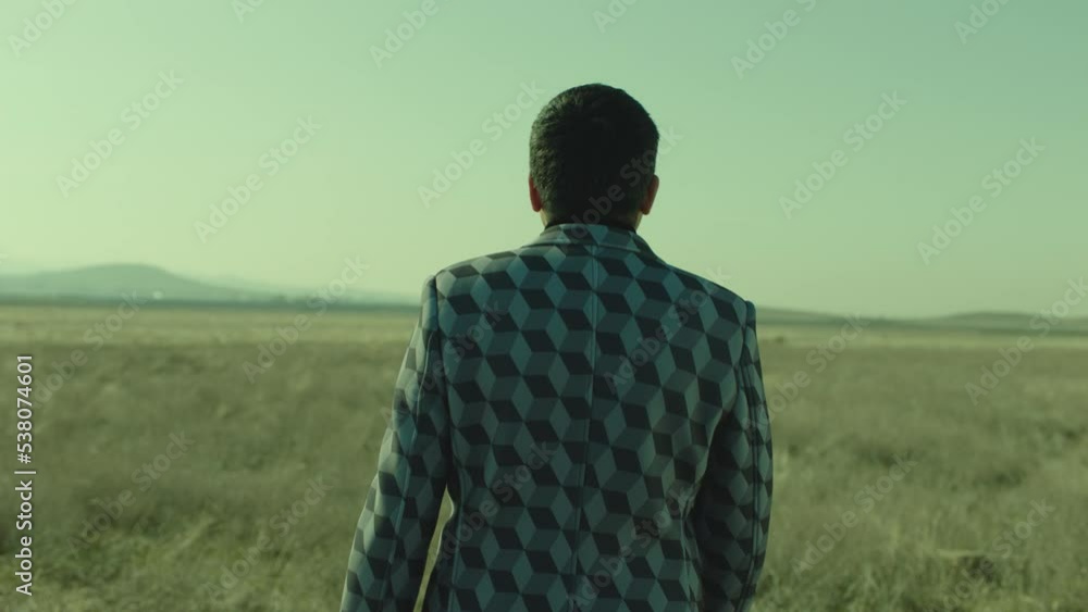 4K Rear , back view of man walking or standing on field . Young stylish lonely man on meadow field at day time . Shot on ARRI Alexa Camera in slow motion 4K Rear , back view of man walking or standing on field . Young stylish lonely man on meadow field at day time . Shot on ARRI Alexa Camera in slow motion