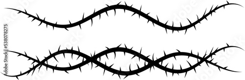 Vector image of a vine with thorns. Barbed wire. photo