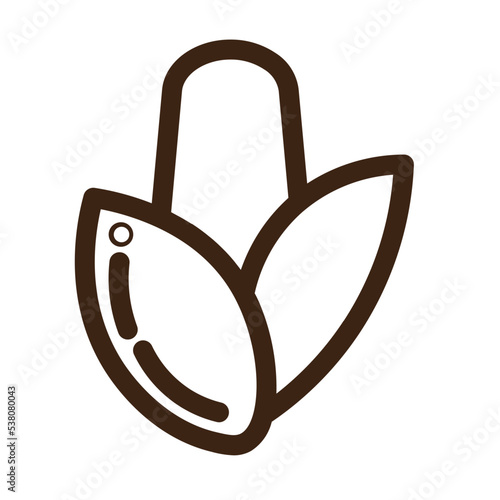 agriculture corn farm harvest vegetable outline icon