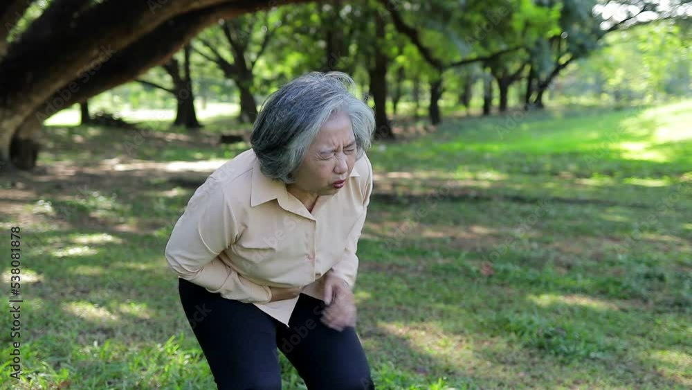 Asian elderly woman Severe abdominal pain. The concept of illness of the elderly. Gastrointestinal problems in the elderly Asian elderly woman Severe abdominal pain. The concept of illness of the elderly. Gastrointestinal problems in the elderly