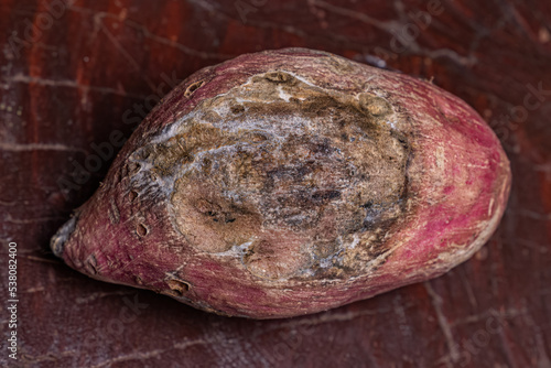 sweet potato fungal damage photo