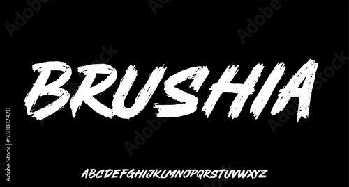 BRUSHIA grunge brush handwrite alphabet set vector