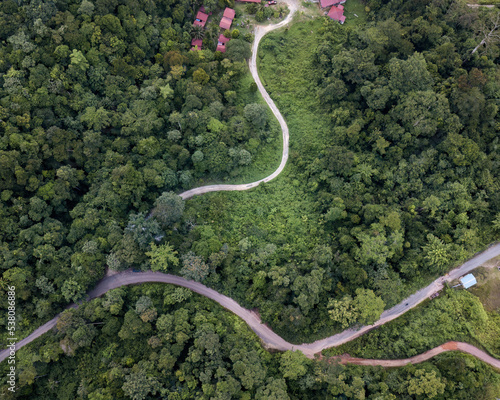 Road through the green rainforest. Aerial top view forest with small roads. Ecosystem and healthy environment concept and background.