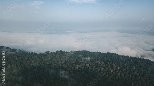 Aerial view of mist, blanket cloud and fog hanging over a lush tropical rainforest in the morning.