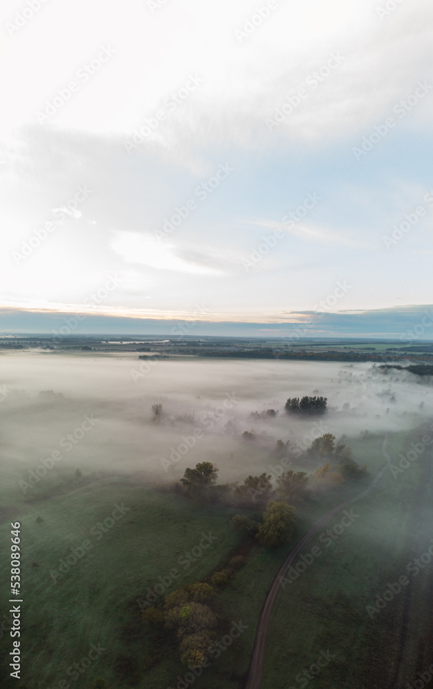 a road through a foggy autumn field