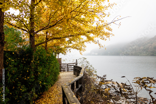 안개 낀 아름다운 가을 강변 © 21pro
