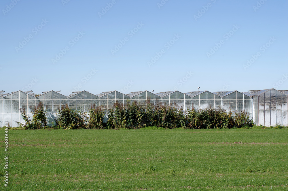 Agriculture, food production of vegetables: facade front of greenhouse for faster production at colder temperatures Agriculture, food production of vegetables: facade front of greenhouse for faster production at colder temperatures