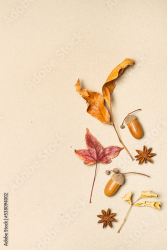 Fondo textura de hojas secas sobre un fondo marrón texturado. Vista superior y de cerca. Copy space