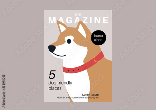 A pet magazine cover, a close up shiba inu portrait wearing a red collar