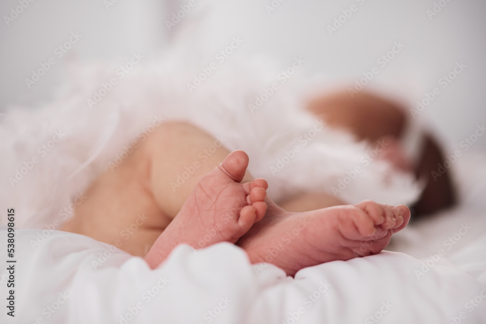 Newborn baby feet on light background Newborn baby feet on light background