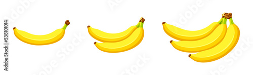 Set of different types of bananas isolated on a white background. Vector illustration of bananas in cartoon style. Flat style