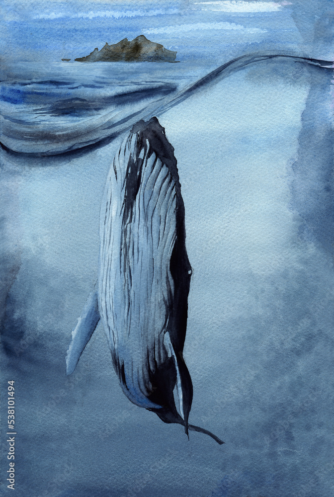 Watercolor illustration of a large blue whale in the middle of the ...