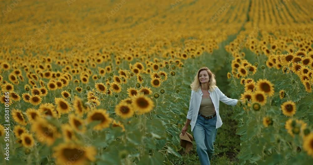 Happy woman walks through a sunflower field, walks along a path with blooming sunflowers. Endless field, romantic walk. Agricultural land. 4k, ProRes Happy woman walks through a sunflower field, walks along a path with blooming sunflowers. Endless field, romantic walk. Agricultural land. 4k, ProRes