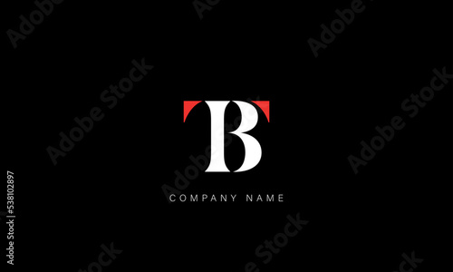 BT, TB Abstract Letters Logo Monogram photo