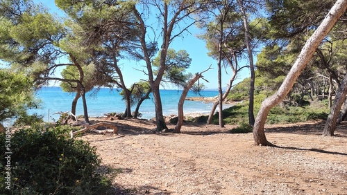 Bosque frente al mar, Costa Dorada, provincia de Tarragona, España photo