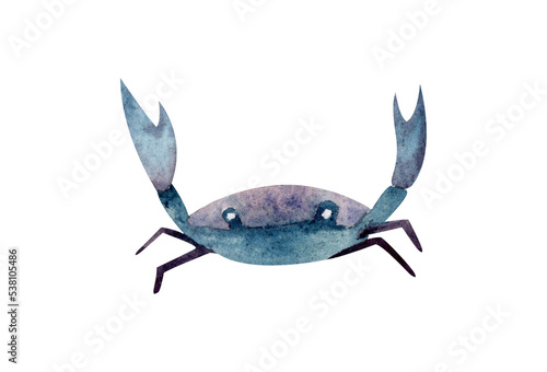 Photography Watercolor print with marine life on isolated white background