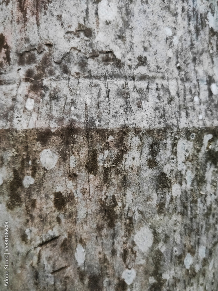 old wall old wall