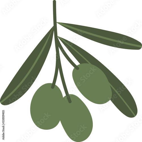 Olive branch