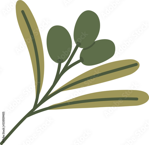Olive branch