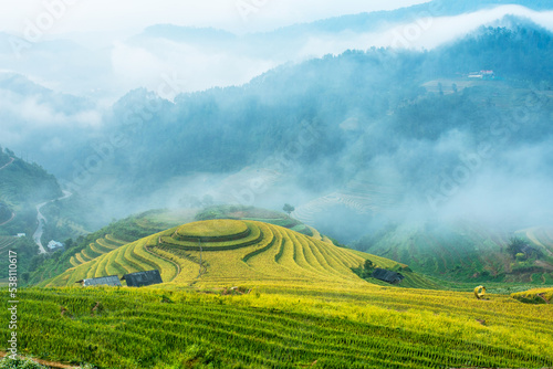 Rice fields on terraces in Mu Cang Chai, Vietnam © cristaltran