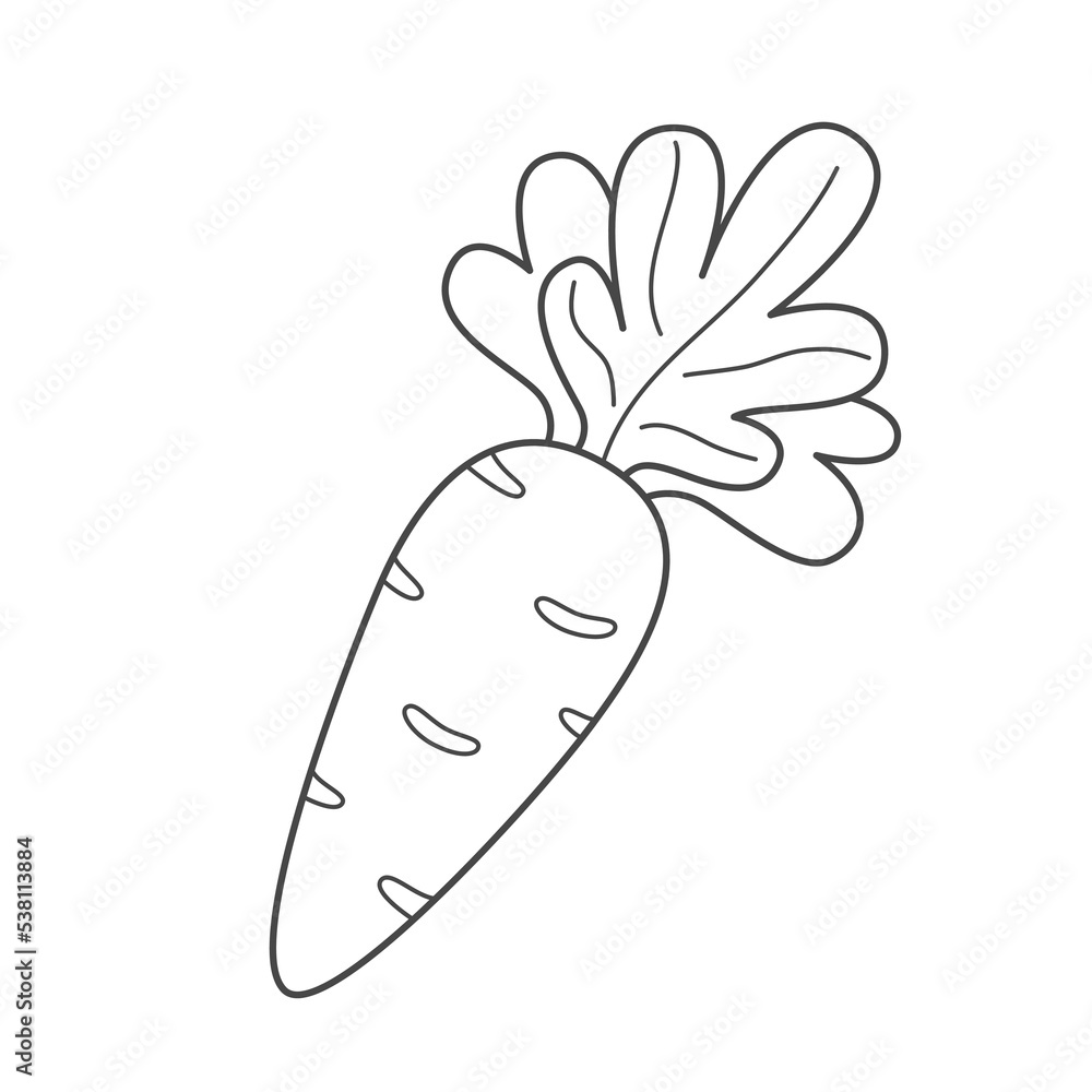 Children's coloring page with a carrot. Vegetable coloring book. Vector black and white illustration. Children's coloring page with a carrot. Vegetable coloring book. Vector black and white illustration.