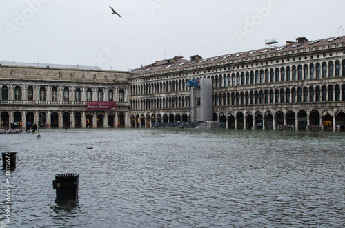 Piazza San Marco a Venezia invasa dall'acqua alta con un gabbiano che vola nel cielo nuvoloso