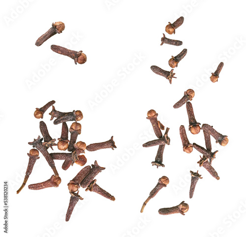 clove spice isolated on a white background. The view from top. photo