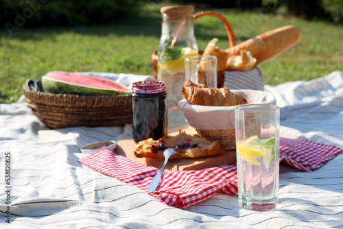 Delicious food and drink on striped blanket in garden. Picnic season