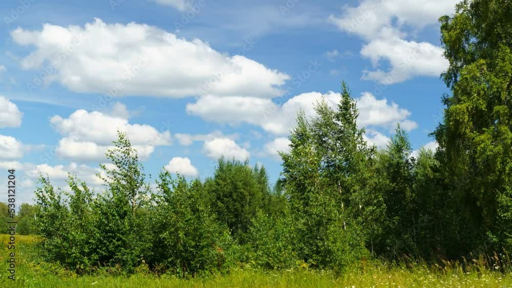 Summer landscape forest blue sky, flying clouds, nature. Space for copying text. Stop motion Summer landscape forest blue sky, flying clouds, nature. Space for copying text. Stop motion