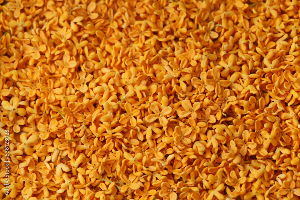 sweet osmanthus flowers, backdrop texture sweet osmanthus flowers, backdrop texture