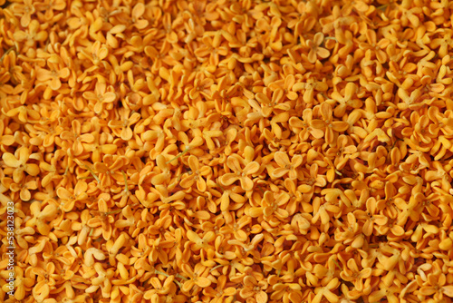 sweet osmanthus flowers, backdrop texture