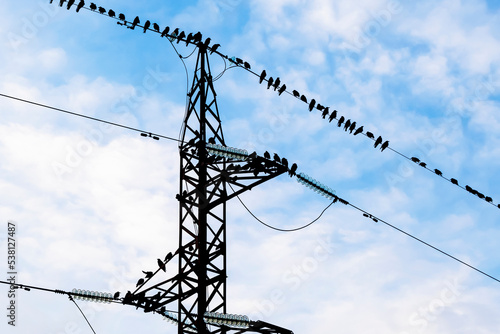 Crows sit on the wires of a power line. Birds on electricity wires against blue sky.