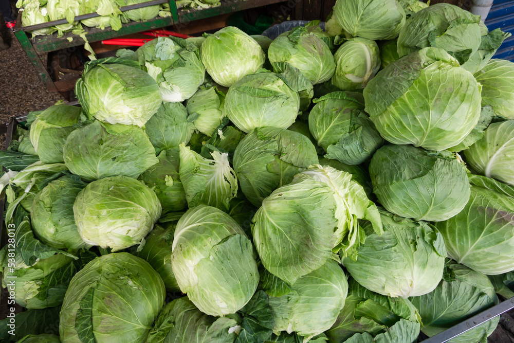 Cabbages on the table Cabbages on the table