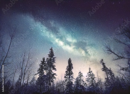 The forest at night with the Milky Way in the sky