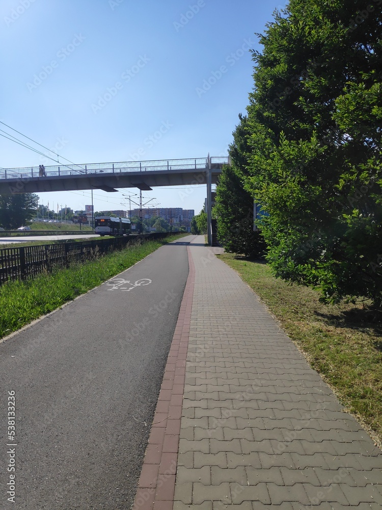 Bike road and bridge in the summer