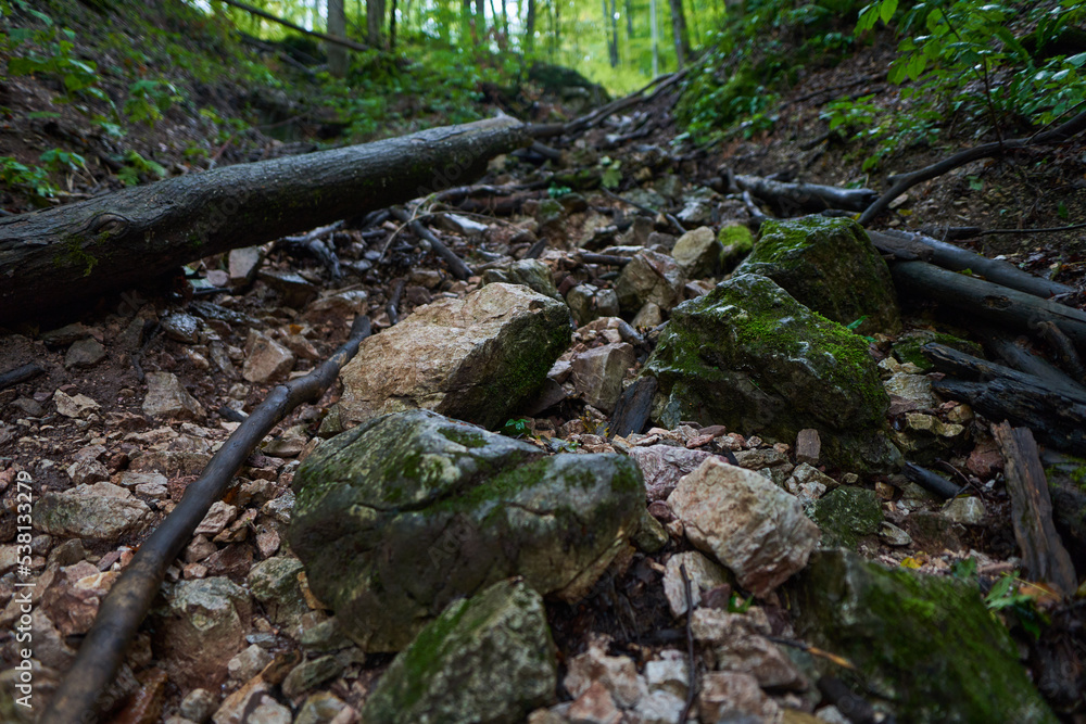 Obraz premium Canyon in the mountains, landscape