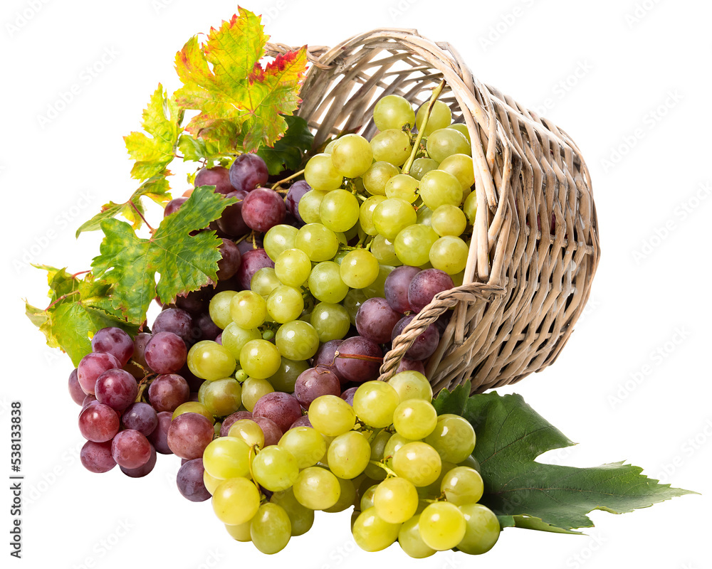 PNG Grapes green and pink in an upside down basket