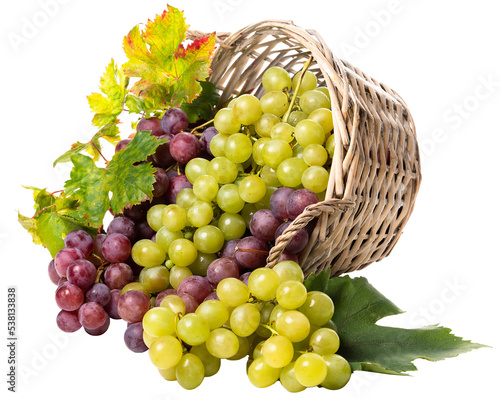 Obraz na płótnie PNG Grapes green and pink in an upside down basket w salonie