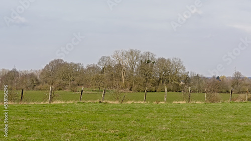 Farm landscape with meadows and bare trees in the Wallonian countryside