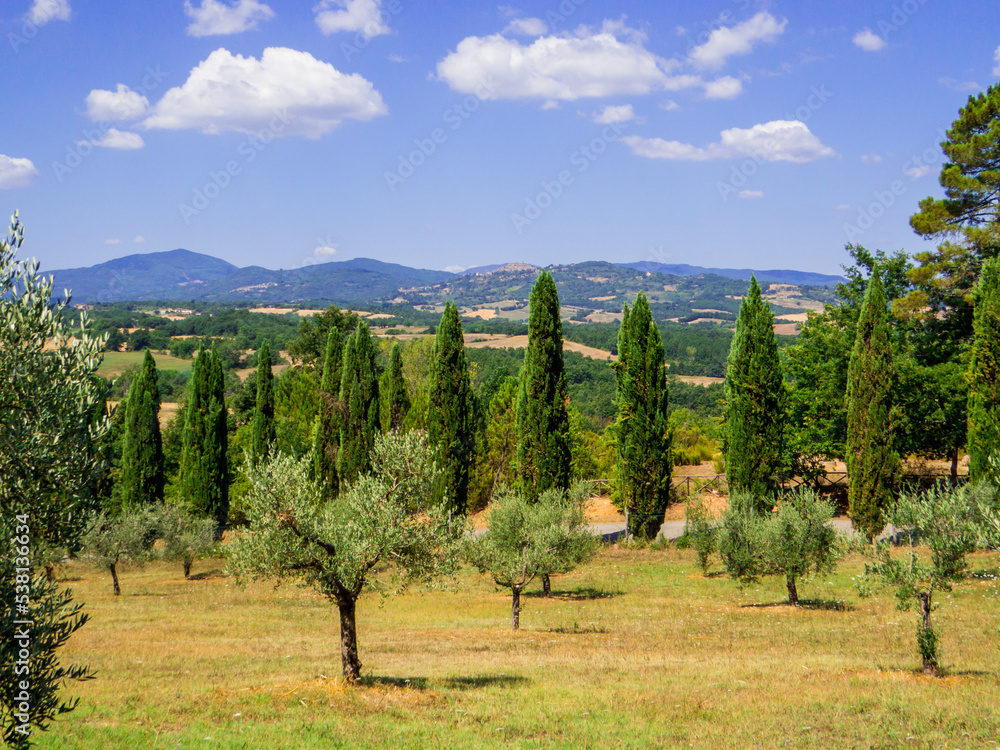 Fototapeta premium Amazing Tuscan Landscape