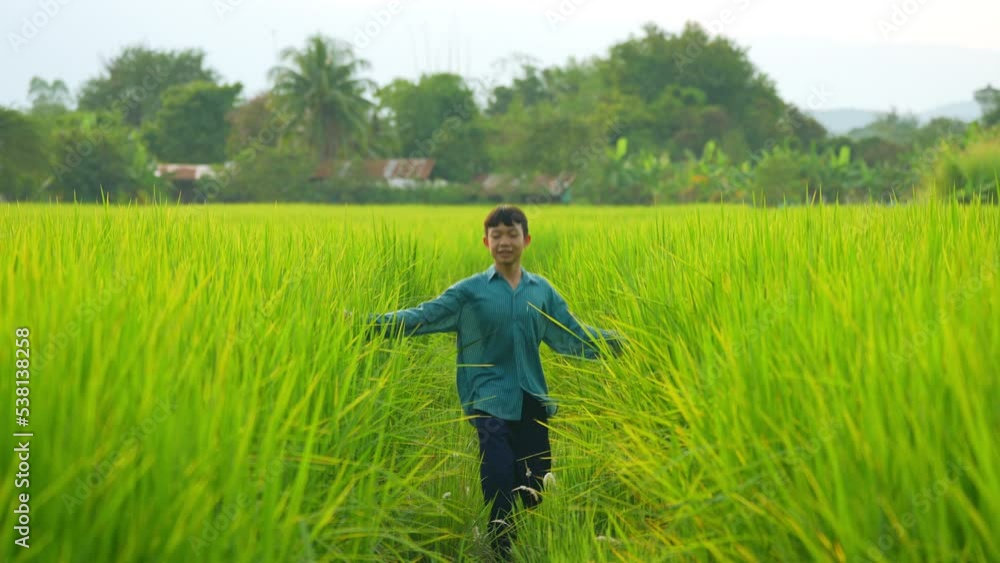 Children playing and spread out hands touch green leaf of rice field in organic farmland of countryside Children playing and spread out hands touch green leaf of rice field in organic farmland of countryside