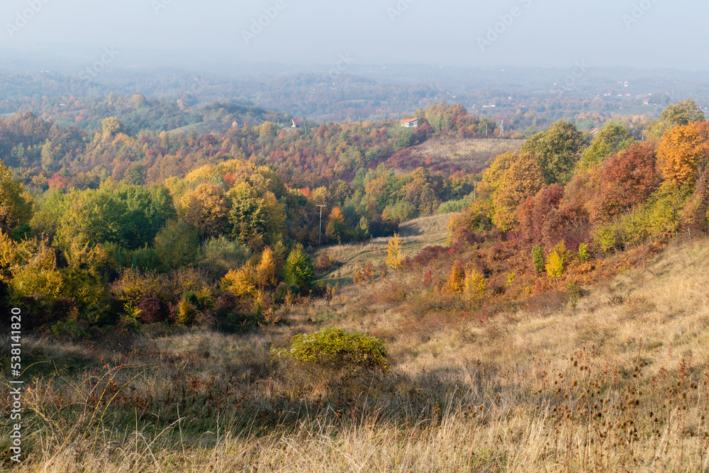 Hilly rural landscape with forest in autumn colours. Hilly rural landscape with forest in autumn colours.