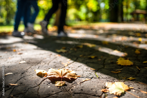 Colorful autumn leaf on the ground in the park and legs of walking people at background