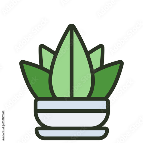 succulents icon